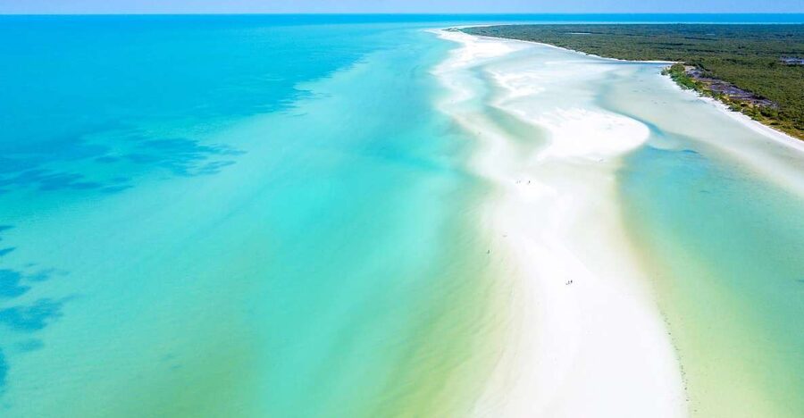 From Cancun or Puerto Morelos: Holbox Boat Tour with Lunch - Secret Beach and the Sandbars at Punta Mosquito