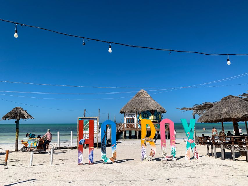 From Cancun or Puerto Morelos: Holbox Boat Tour with Lunch - What the Guide Adds to a Fast Schedule