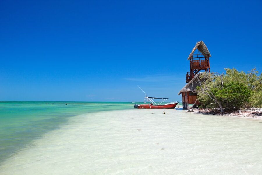 From Cancun or Puerto Morelos: Holbox Boat Tour with Lunch - Who Will Get the Best Value From This Tour