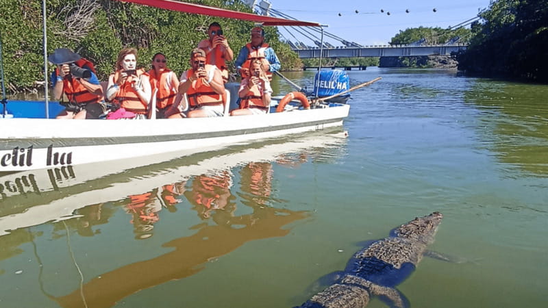 From Cancún: Rio Lagartos & Las Coloradas Day Trip & Lunch - What to bring and what to leave behind