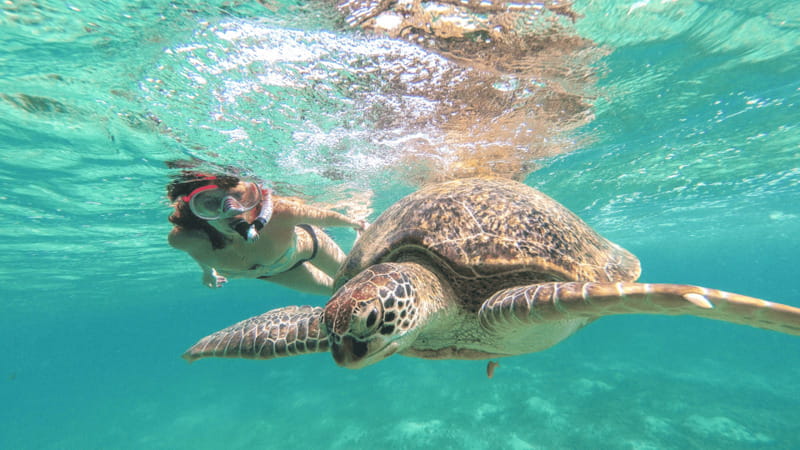 From Cancun: Tulum, Cenote and Turtle Swim Tour at Akumal - Should you book the Tulum, cenote, and turtle swim tour?