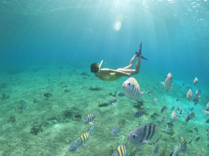 From Cozumel: 3 Reefs Boat Tour with Drinks and Snorkeling - The food and drinks finish the trip well
