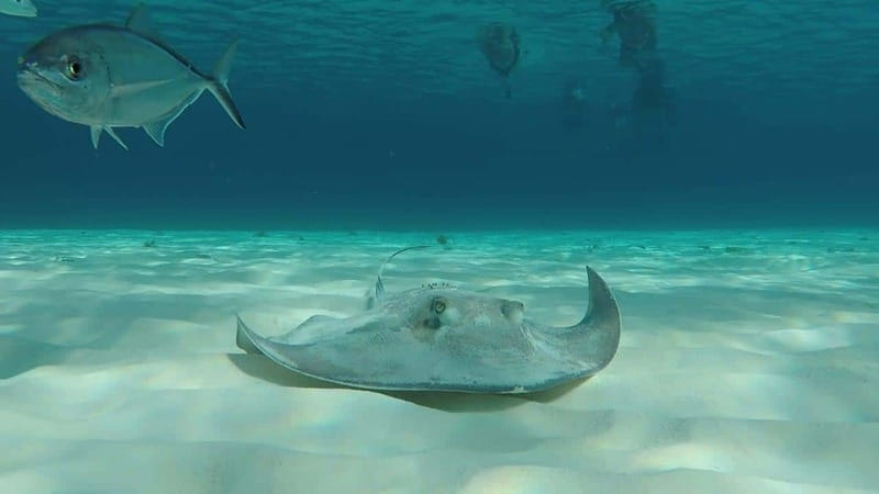 From Cozumel: 3 Reefs Boat Tour with Drinks and Snorkeling - What the boat ride is like