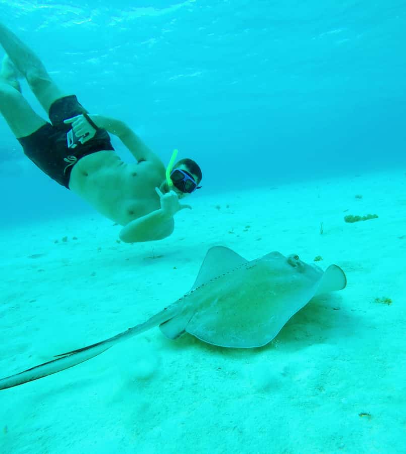 From Cozumel: Starfish, Stingrays and the Turtle Sanctuary - The ride toward Playa Palancar