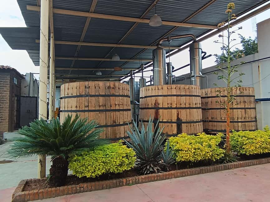 From Guadalajara: Tequila Town and Cantaritos El Guero - Tequila town: color, streets, and a short taste of local life