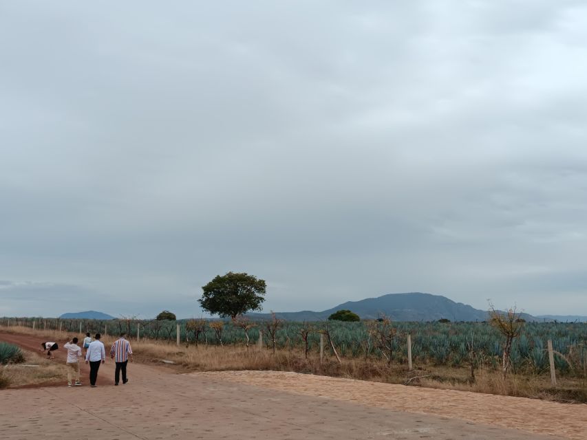 From Guadalajara: Tequila Town and Cantaritos El Guero - The guide and language question