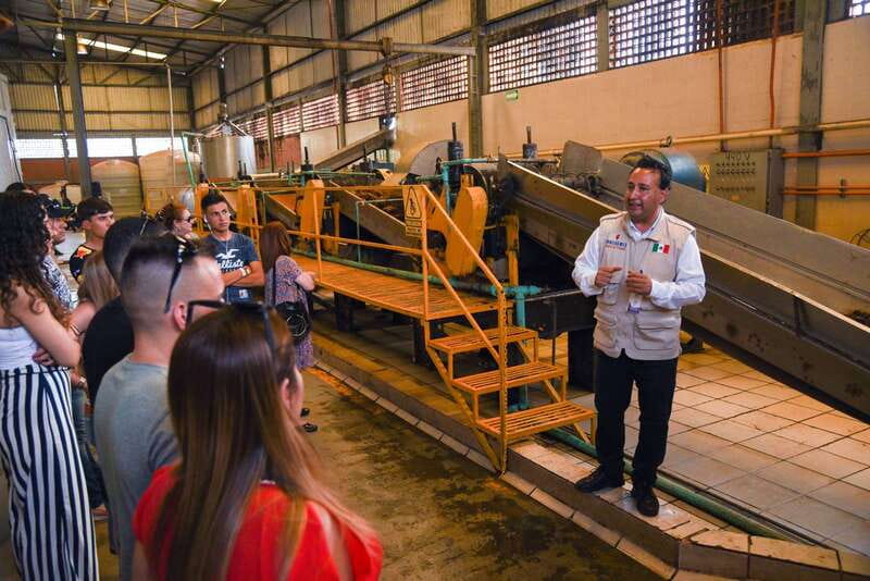 From Guadalajara: Tequila Trail Tour with Tasting - The agave fields near Amatitán