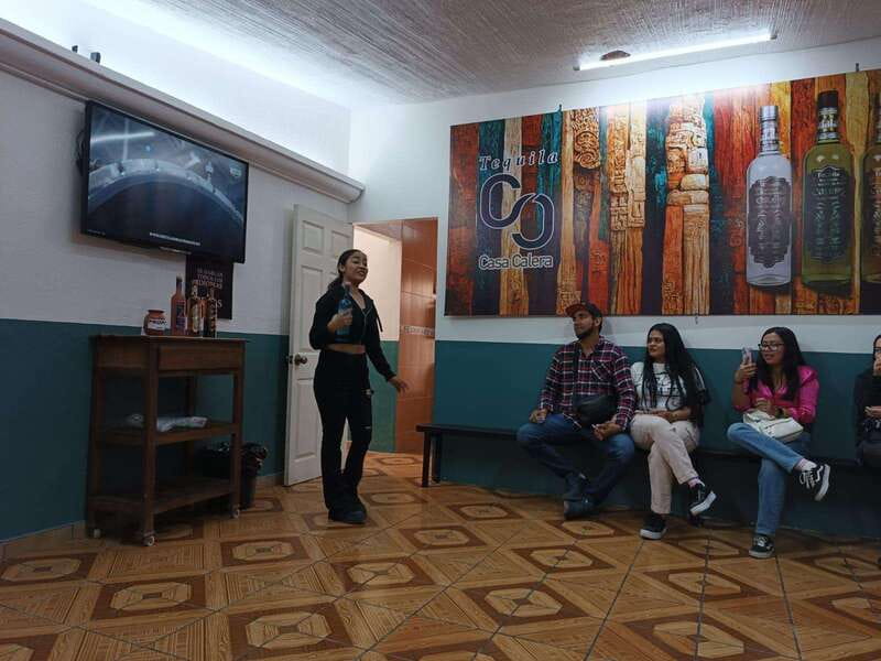 From Guadalajara to Chapala Lake: Funny and cultural tour - Ajijic lunch beside Lake Chapala
