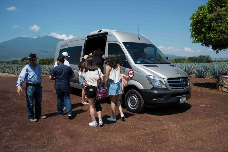 From Guadalajara: Town of Tequila & Jose Cuervo Factory Tour - Why this Guadalajara day trip works well