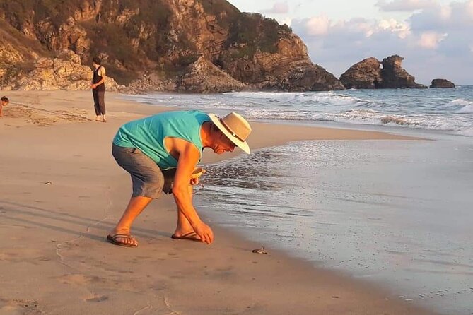 From Huatulco: Turtle Release & Bioluminescence - The glowing water of Manialtepec Lagoon