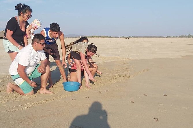 From Huatulco: Turtle Release & Bioluminescence - What the $120 price really buys
