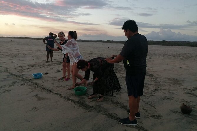 From Huatulco: Turtle Release & Bioluminescence - Who should book this Huatulco experience?
