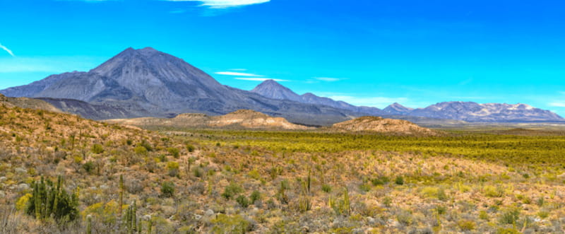 From Los Cabos: City Tour La Paz, Balandra and Todos Santos - The 5:00 AM pickup and long ride north