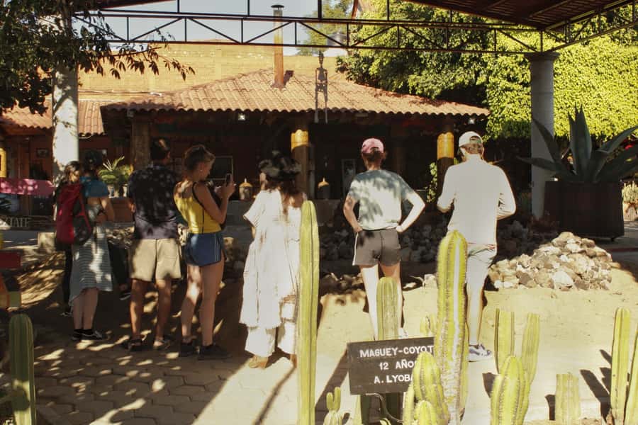 From Oaxaca de Juarez: Hierve el Agua and Mezcal Distillery - Key points to know before booking