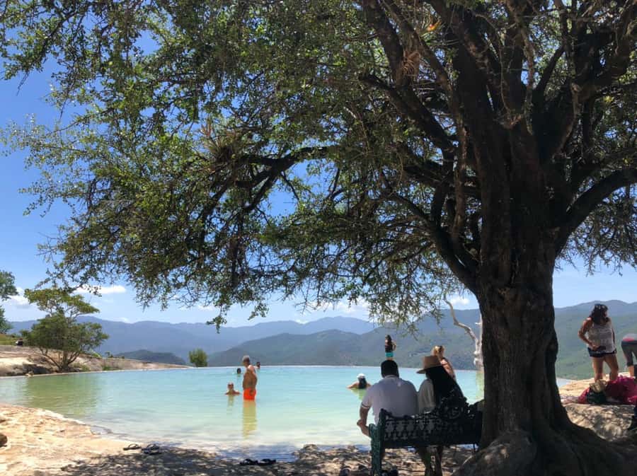From Oaxaca de Juarez: Hierve el Agua and Mezcal Distillery - Leaving Oaxaca from Cosijoeza 110A