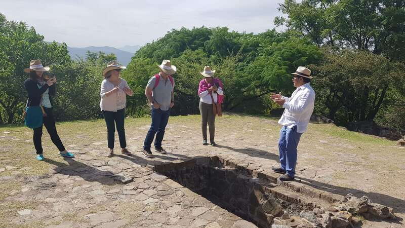 From Oaxaca: Monte Alban, Alebrijes & Black Clay Day Trip - Who should book this experience