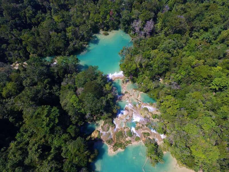 From Palenque: Palenque Ruins and waterfalls Roberto Barrios - Language, guiding, and communication
