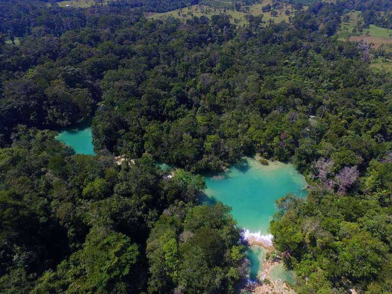 From Palenque: Palenque Ruins and waterfalls Roberto Barrios - Who will enjoy this day most