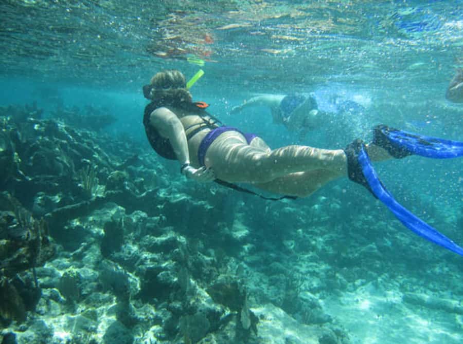 From Puerto Aventuras: Share Catamaran Tour - BBQ Lunch With Four Main Choices