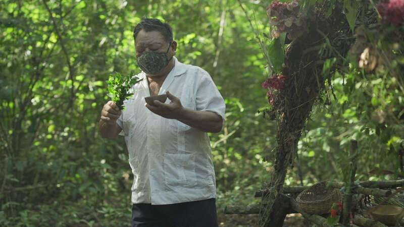From Riviera Maya: Coba, Punta Laguna & Cenote Guided Trip - Who should book this experience?