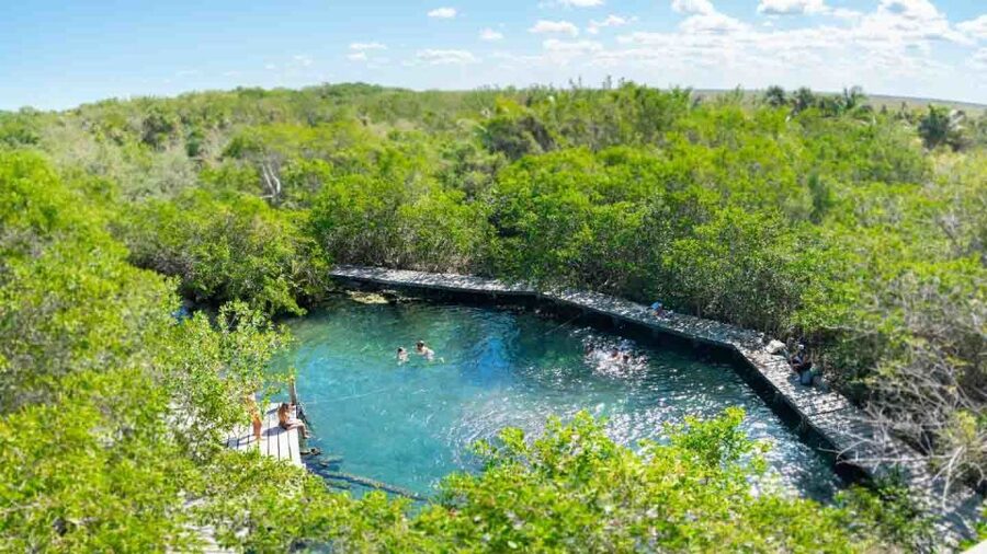 From Riviera Maya: Holbox Full-Day Tour with Lunch - Yalahau Cenote and the lookout tower