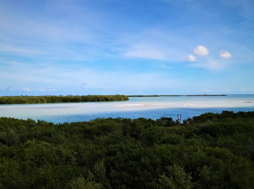 From Riviera Maya: Holbox Full-Day Tour with Lunch - Punta Mosquito and the Secret Beach sandbars