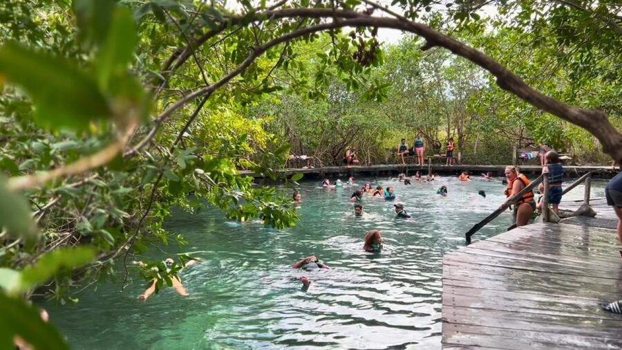 From Riviera Maya: Holbox Full-Day Tour with Lunch - Two hours to find your Holbox rhythm