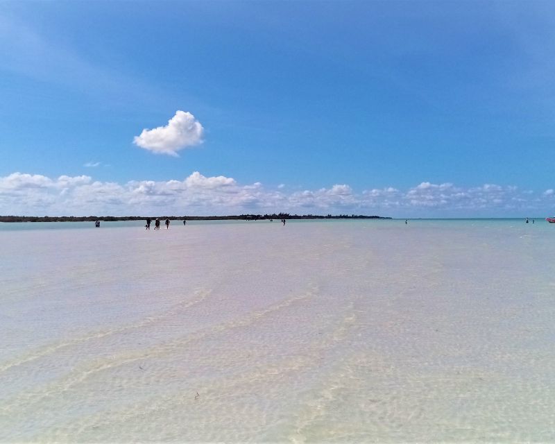 From Riviera Maya: Holbox Full-Day Tour with Lunch - Is the $104 price really good value?
