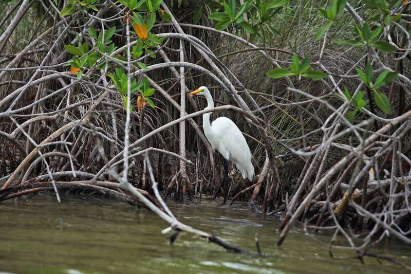 From Riviera Maya: Sian Ka'an Half Day Tour w/ Lunch - What Sian Ka’an adds to a Tulum holiday