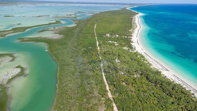 From Riviera Maya: Sian Ka'an Half Day Tour w/ Lunch - Coconut groves, canals, and a swim