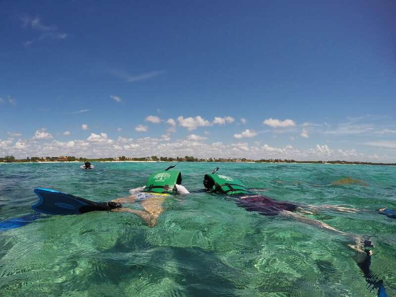 From Riviera Maya: Sian Ka'an Half Day Tour w/ Lunch - Guides make a noticeable difference