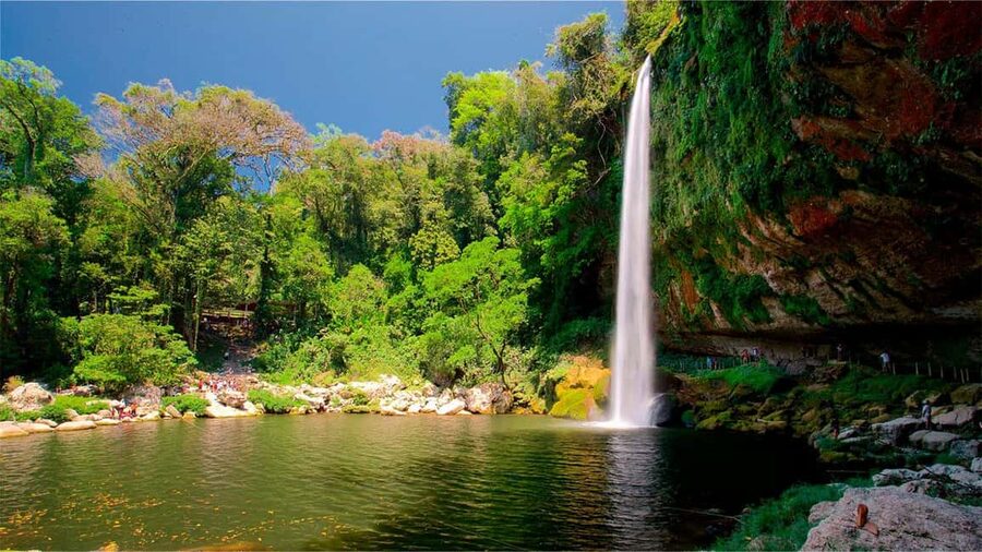 From San Cristóbal: Agua Azul and Palenque Day Trip - Misol-Ha, a one-hour jungle waterfall stop