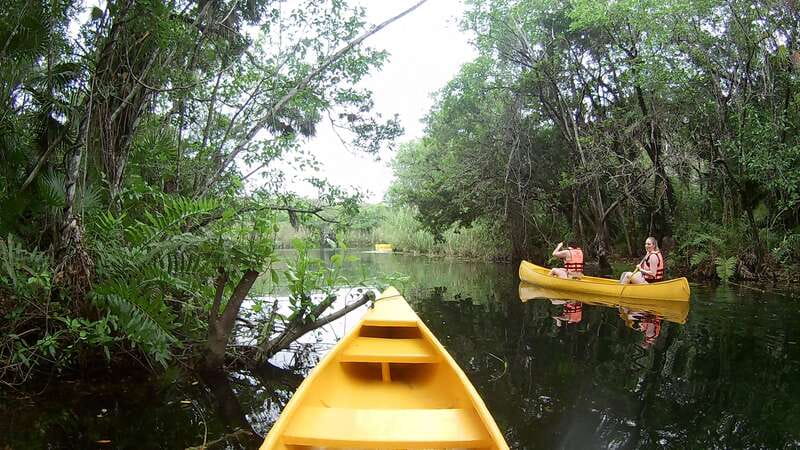 From Tulum: Four-Cenote Adventure - What to bring and what not to bring