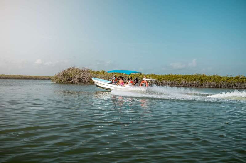From Tulum: Sian Kaan Boat Trip Adventure with Lunch - Does $254 offer fair value?