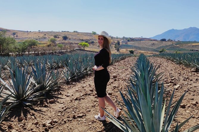Full Day in Tequila with Tasting and party in Cantaritos - Simple ways to enjoy the day more