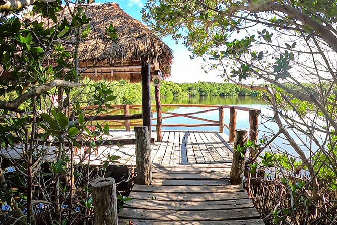 Full-Day Isla Contoy Sailing Nature Experience in Mujeres - The one-hour sail to Isla Mujeres