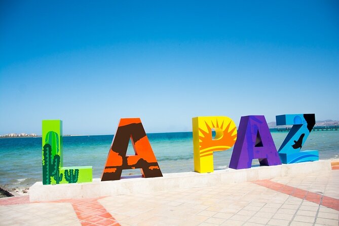Full-Day La Paz Private Tour from Los Cabos - Why this La Paz day trip works best as a private outing
