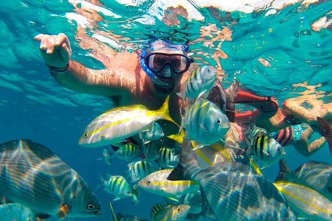 Full-Day Luxurious Catamaran Adventure - Cancún to Isla Mujeres - Snorkeling at the reef