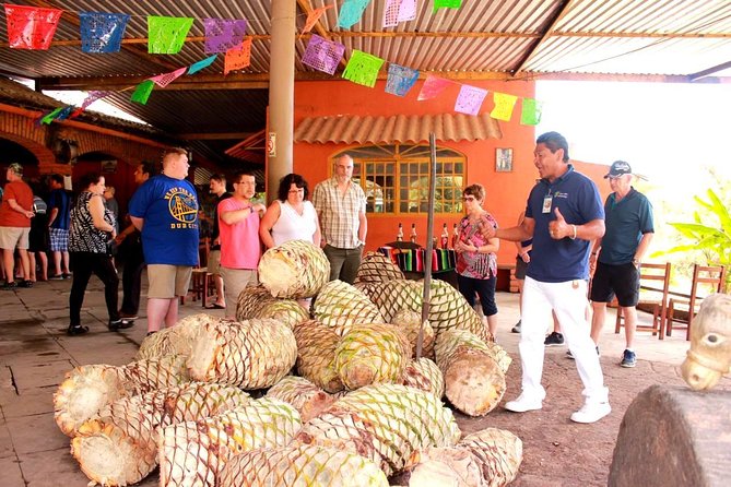 Full-Day Puerto Vallarta City Highlights Tour - Who Will Get the Best Value