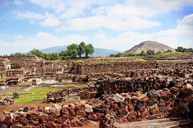 Full-Day Teotihuacan & Basilica Guadalupe Tour - Who should book this tour
