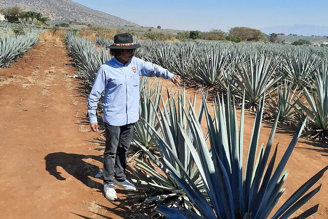 Full-Day Tequila Tour from Guadalajara - A Closer Look at Artisanal Tequila Production
