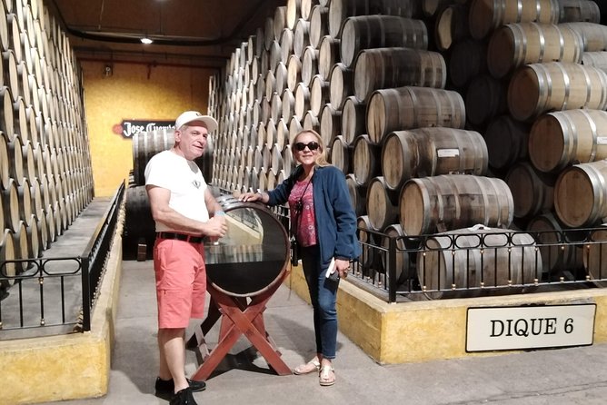 Full-Day Tequila Tour from Guadalajara - Exploring the Town of Tequila