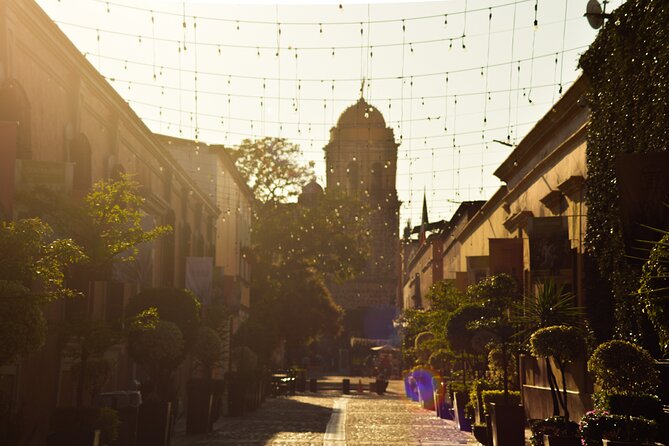 Full-Day Tequila Tour from Guadalajara - Should You Book the Tequila Tour from Guadalajara?
