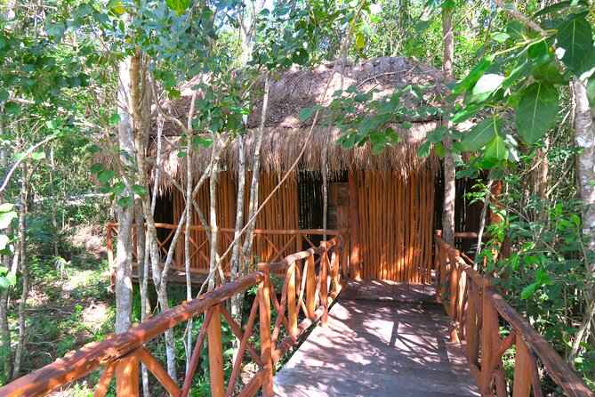 Full-Day Tour of Tulum Ruins and Cenotes with Lunch - The guides make the difference