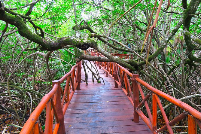 Full-Day Tour of Tulum Ruins and Cenotes with Lunch - Who should book this experience