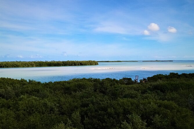 Full Day Tour to the Best of Holbox - Is the $99 price good value?