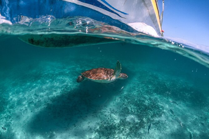 Full Day Tulum Ruins Tour Cenote and Swimming with Sea Turtles - What to bring for comfort and better photographs