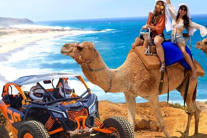 Fun Camel Ride and UTV COMBO with Tequila Tasting! - The five things to know before you book