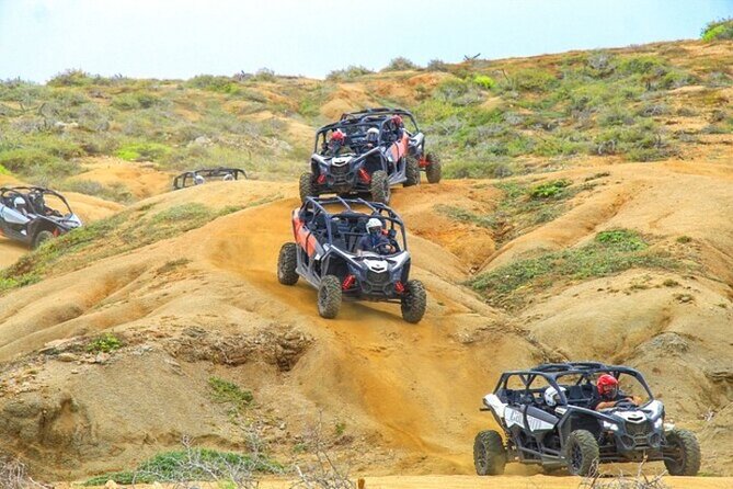 Fun Camel Ride and UTV COMBO with Tequila Tasting! - Why this Cabo combo works
