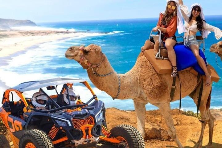 Fun Camel Ride and UTV COMBO with Tequila Tasting! - The real price, including the extras